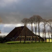 Thumbnail of post #322436