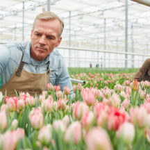 Thumbnail of post #313003