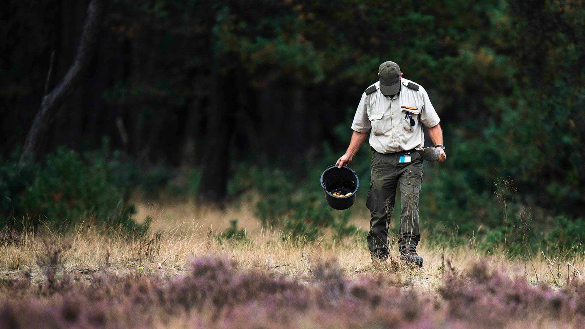 Thumbnail of post #312098