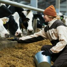 Thumbnail of post #324806