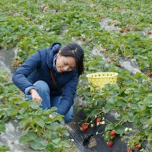 Thumbnail of post #322268