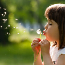 Thumbnail of post #324677