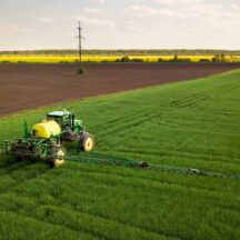 Thumbnail of post #325380