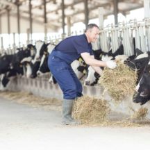 Thumbnail of post #307580