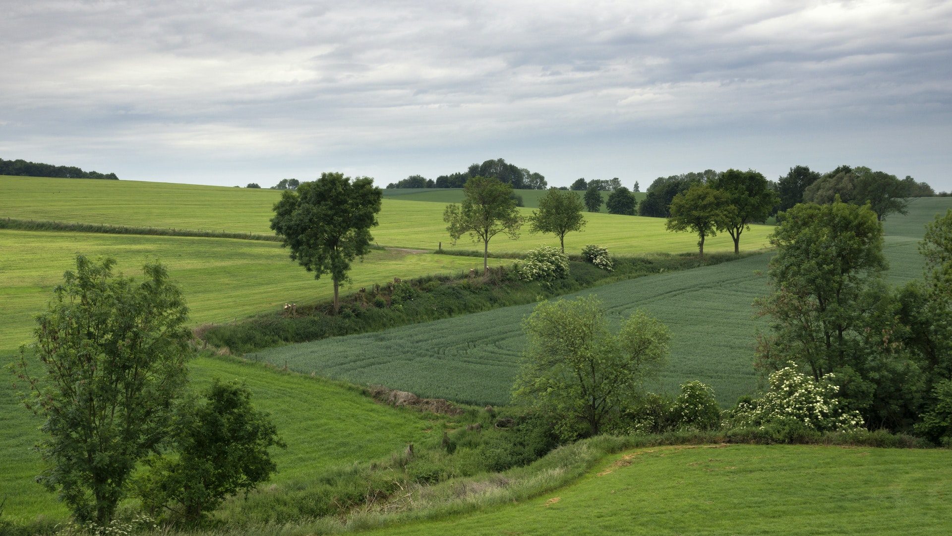 Thumbnail of post #298755