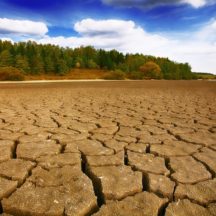 Thumbnail of post #307603