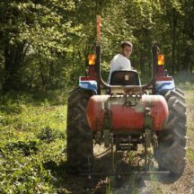 Thumbnail of post #321479