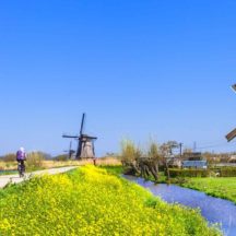 Thumbnail of post #307055