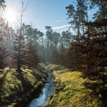 Thumbnail of post #322159