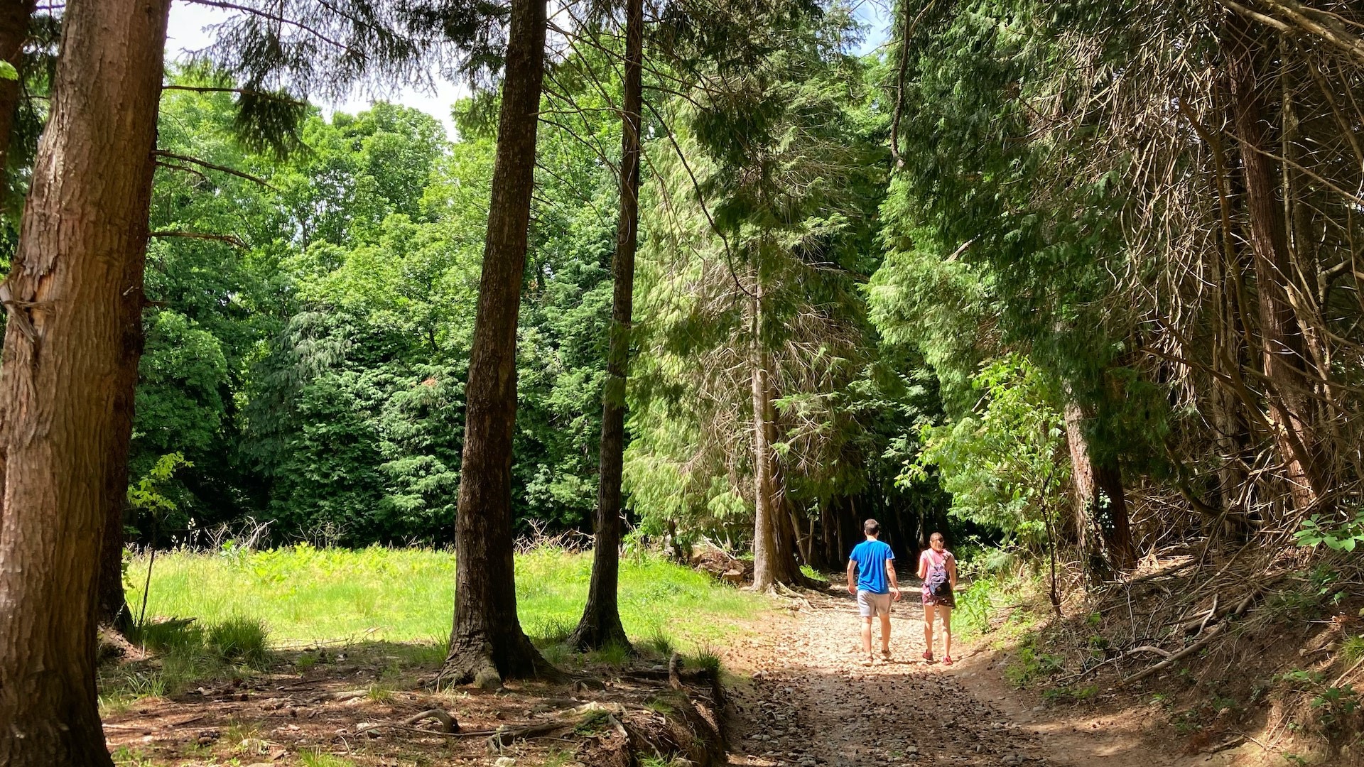 Thumbnail of post #301964