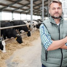 Thumbnail of post #321539