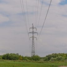 Thumbnail of post #310899