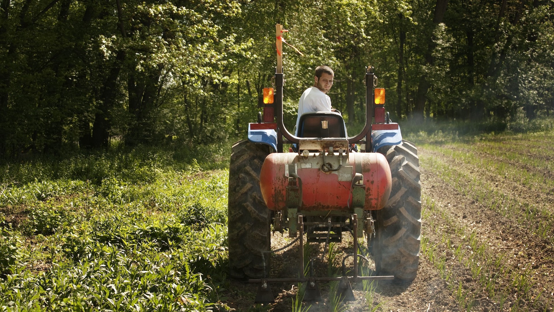 Thumbnail of post #304987