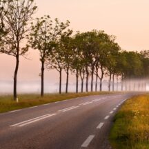 Thumbnail of post #322431