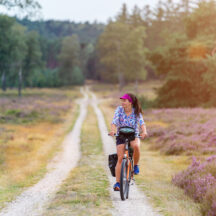 Thumbnail of post #323340