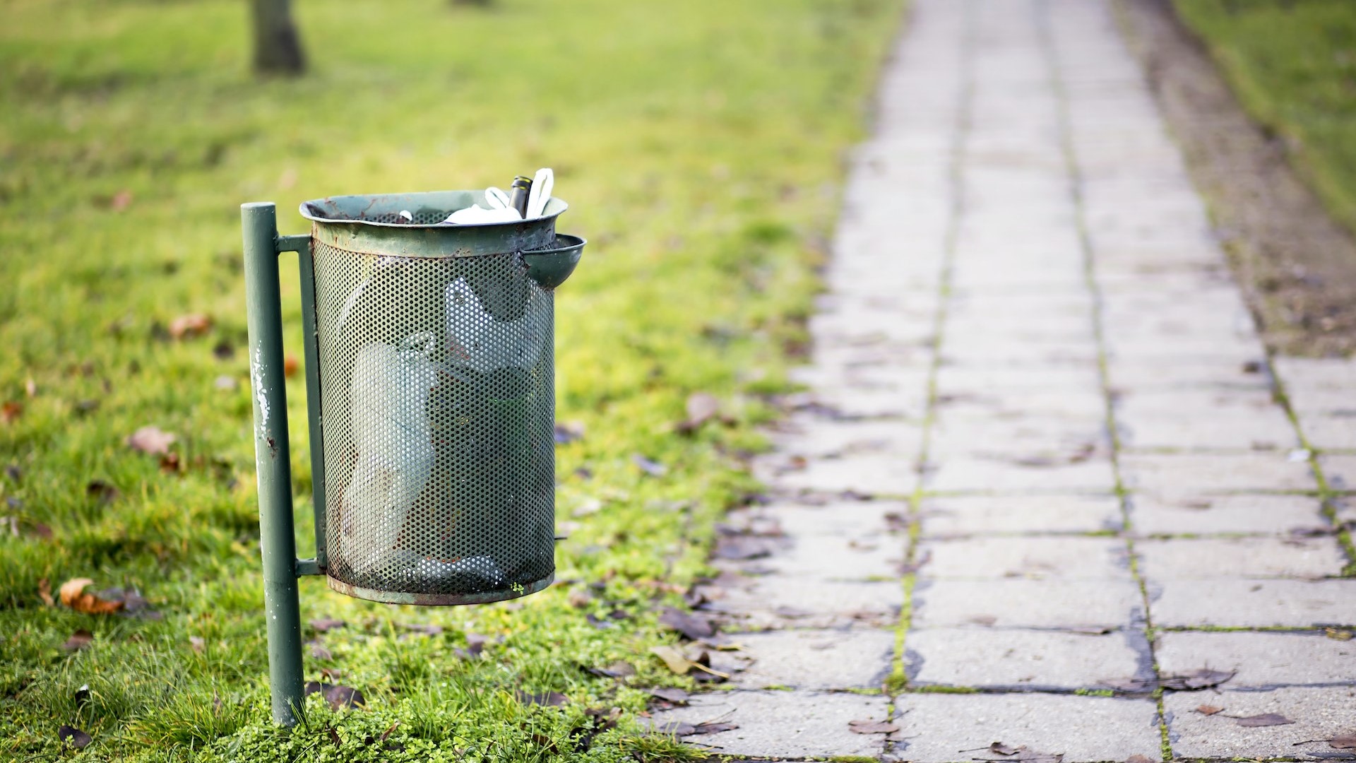 Thumbnail of post #302197