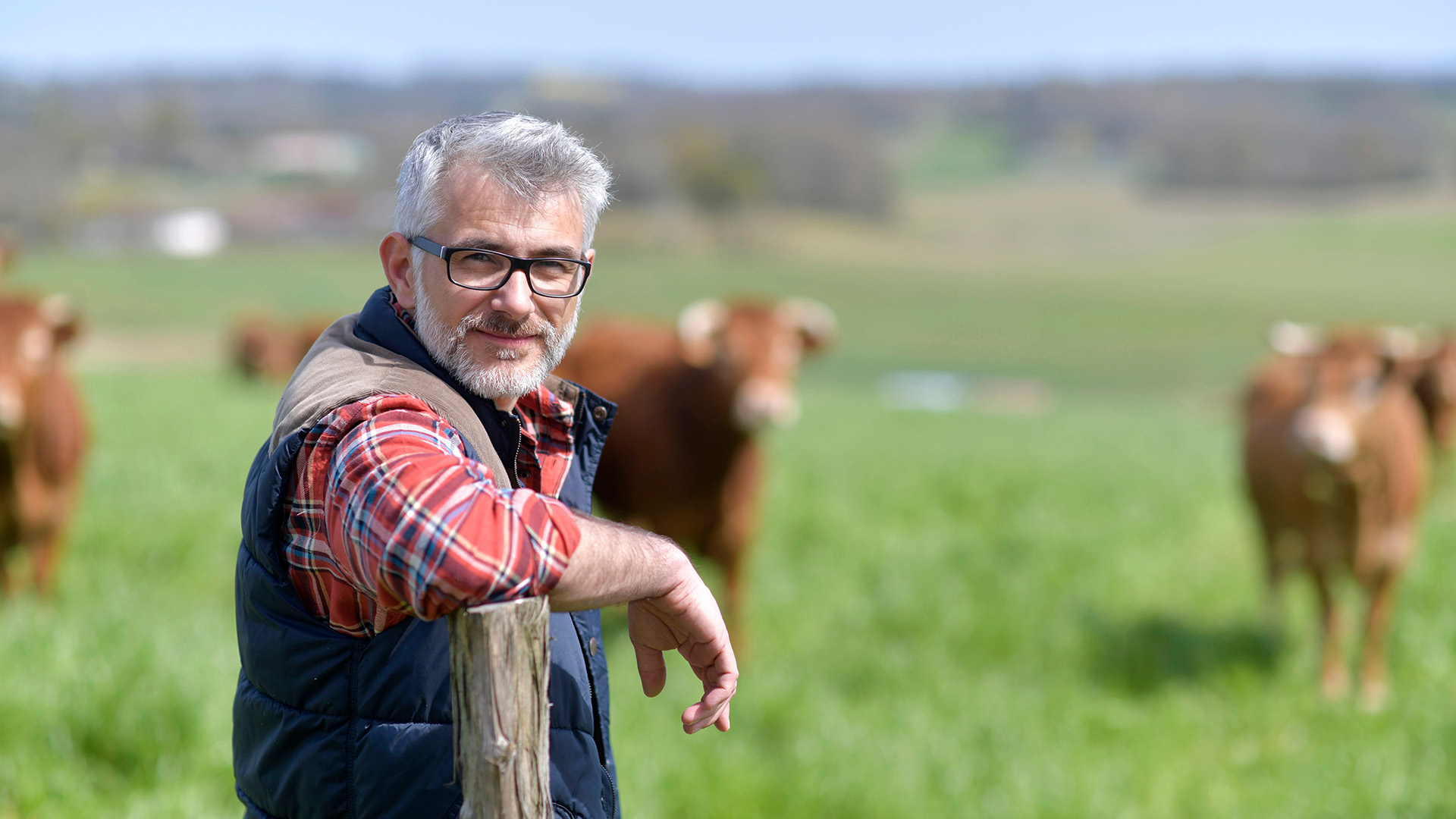 Thumbnail of post #302202