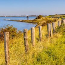 Thumbnail of post #322512