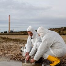 Thumbnail of post #323873