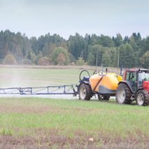 Thumbnail of post #322995