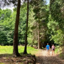 Thumbnail of post #313169