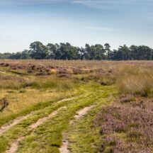 Thumbnail of post #324968