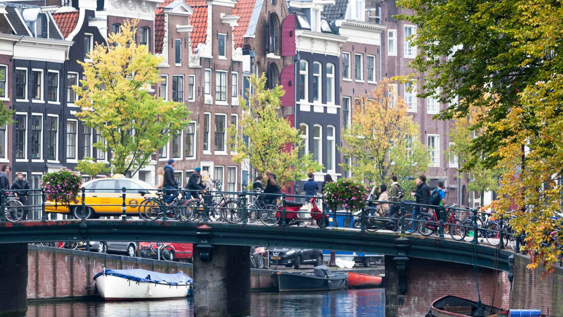 Thumbnail of post #295759