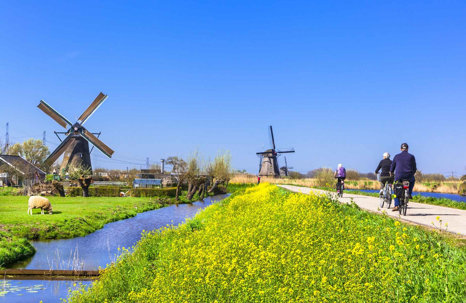 Thumbnail of post #294125