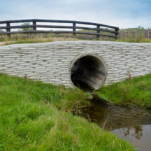 Thumbnail of post #322478