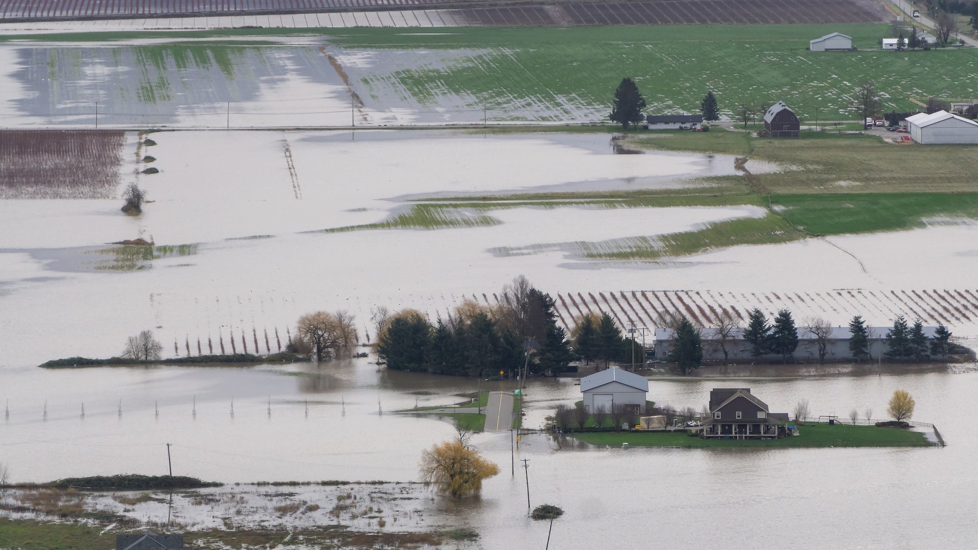 Thumbnail of post #303559