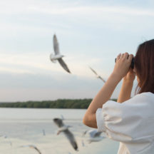 Thumbnail of post #321476