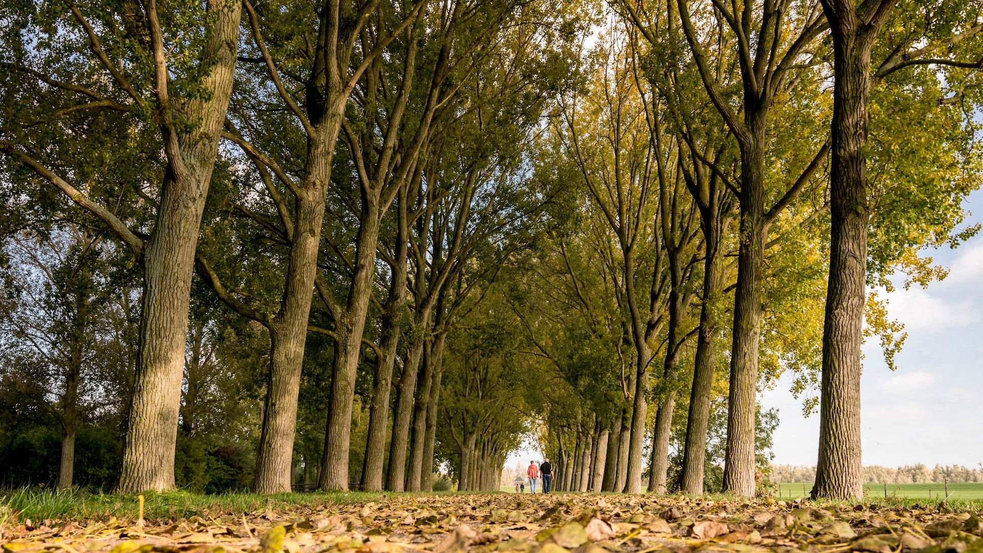 Thumbnail of post #305039