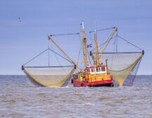 Thumbnail of post #323348