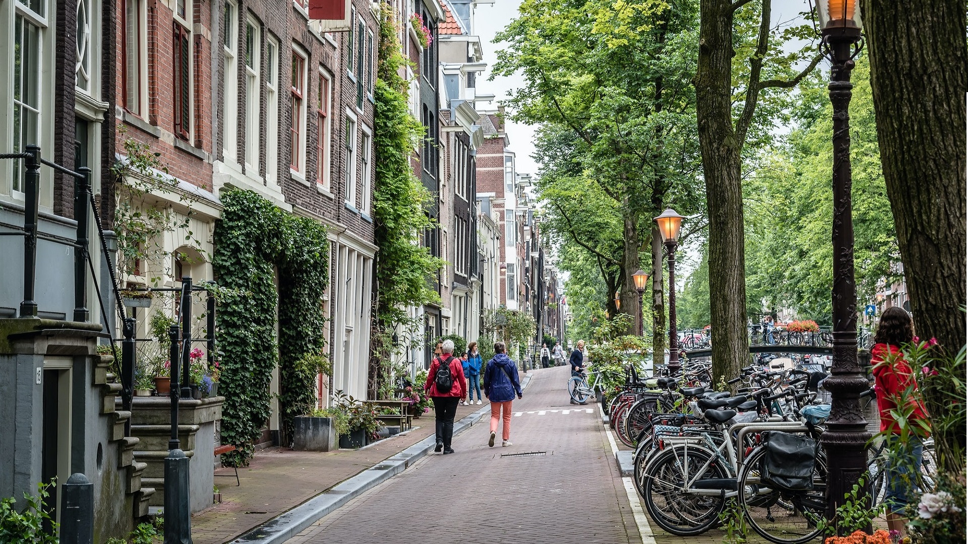 Thumbnail of post #295800