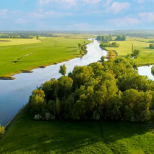 Thumbnail of post #321016