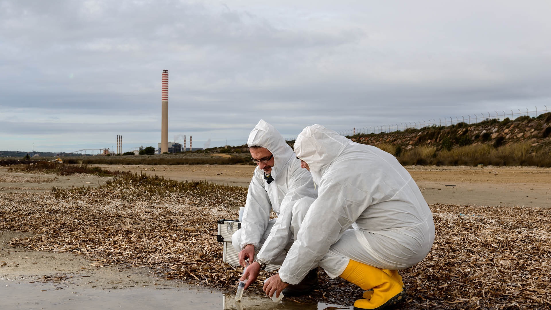 Thumbnail of post #293510