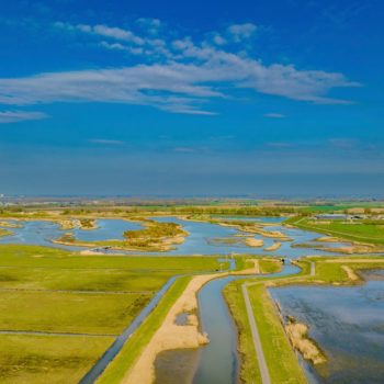 Thumbnail of post #325434