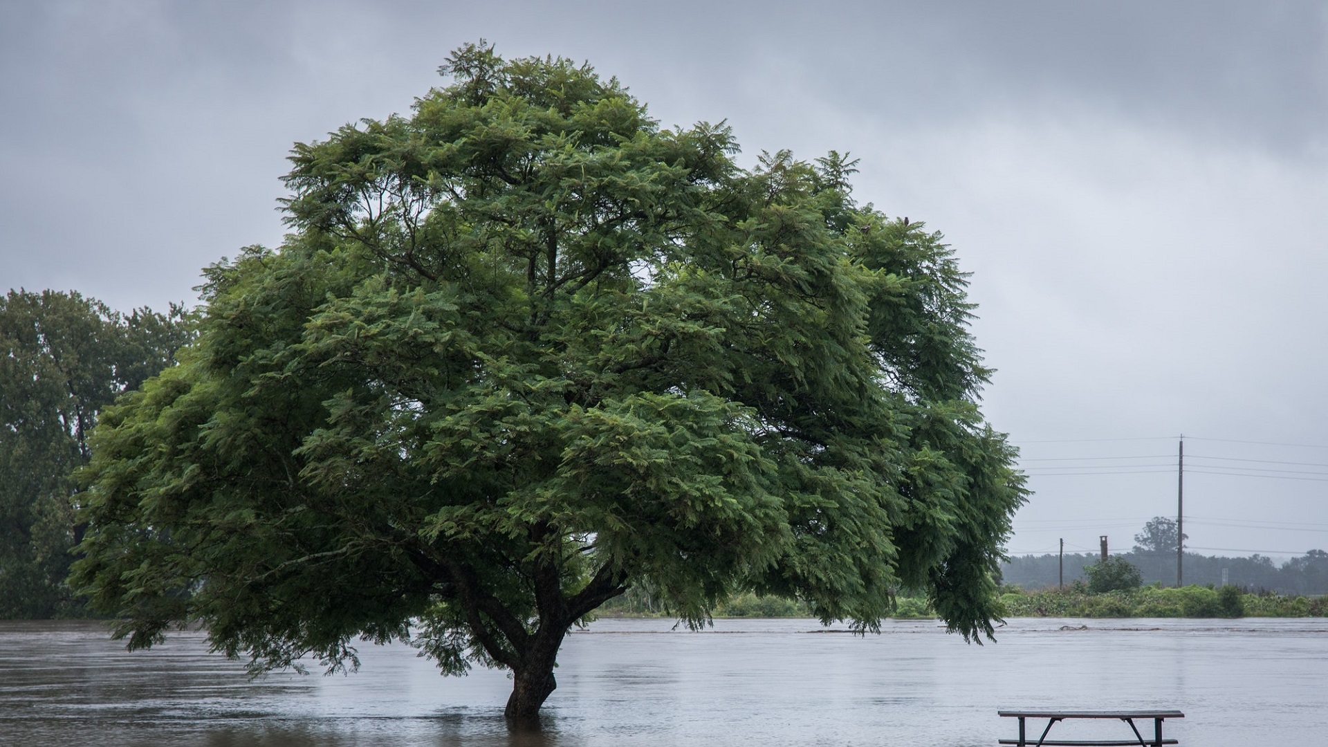 Thumbnail of post #324505