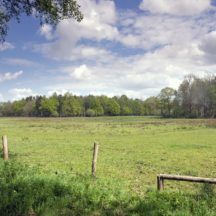 Thumbnail of post #323451