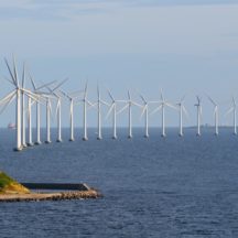 Thumbnail of post #309546