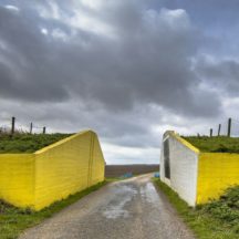 Thumbnail of post #311063