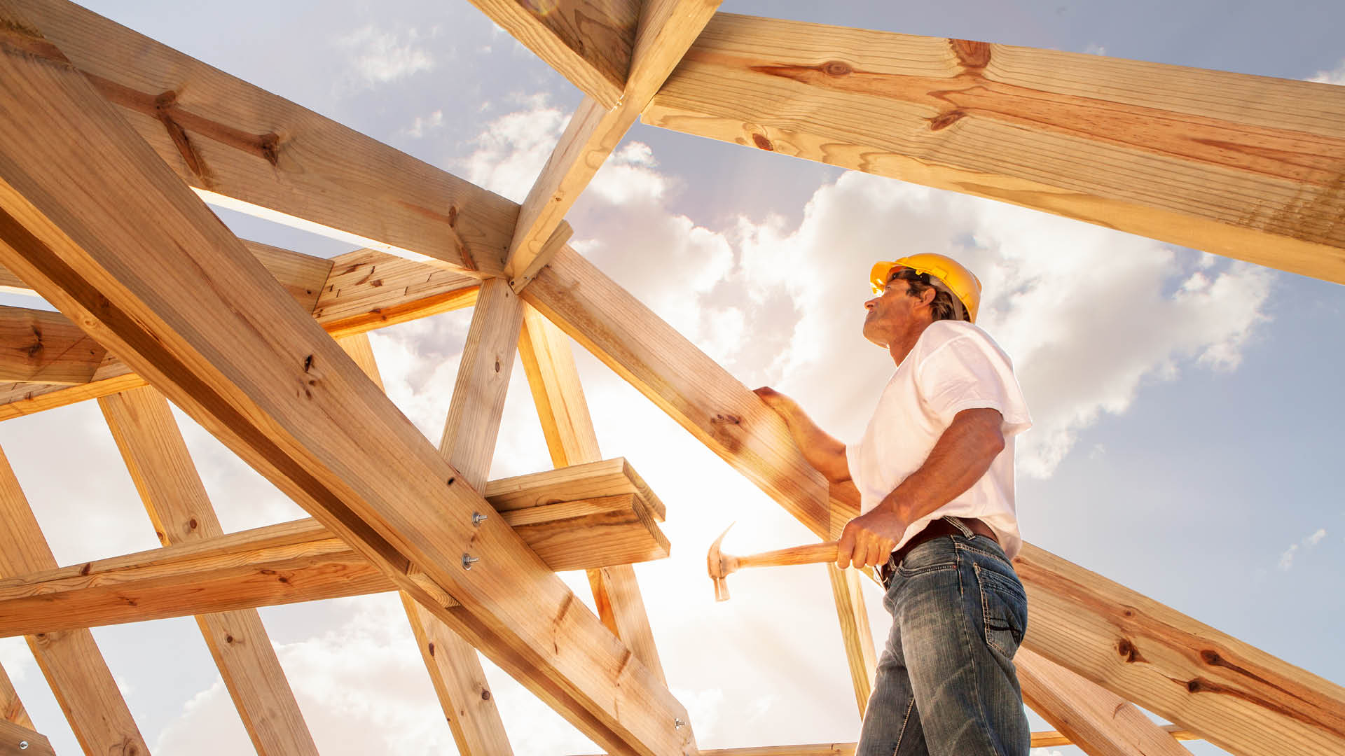 schulinck opleidingen omgevingsrecht bouw