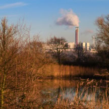 Thumbnail of post #315335