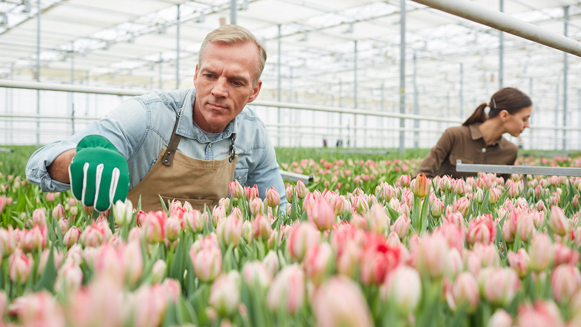 Thumbnail of post #321053